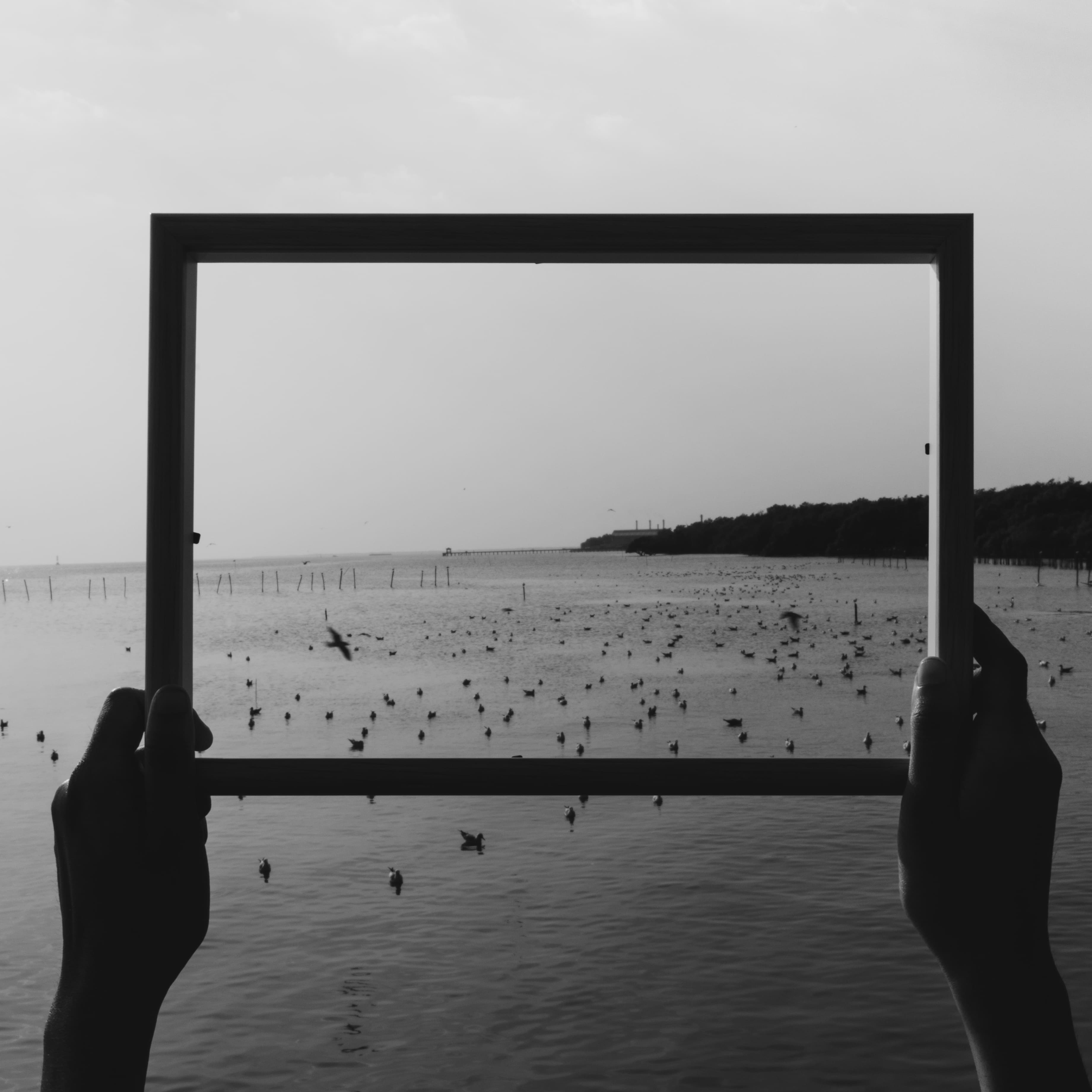 Photoprint
